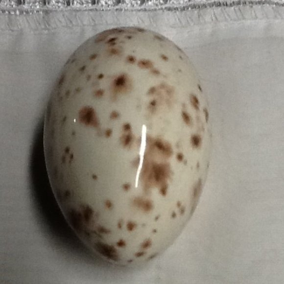 brown and white ceramic egg W 32 - Picture 1 of 2